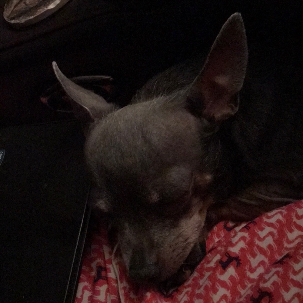 Meet your Posher, Valarie